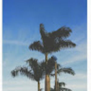 Meet your Posher, Isabella